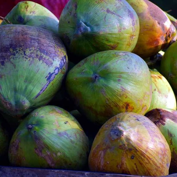 Kokosnuss Aktivkohle