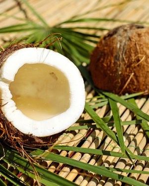 Parfümöl Kokosnuß