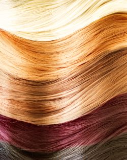 Haarsoft (Lamesoft®PO65)