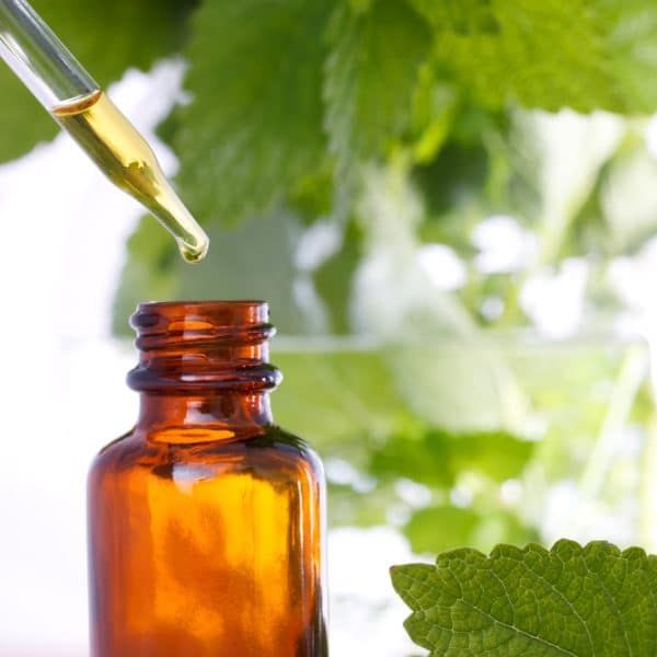 Lösungsvermittler LV 41