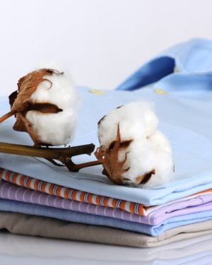 fresh-cotton-parfuemoel