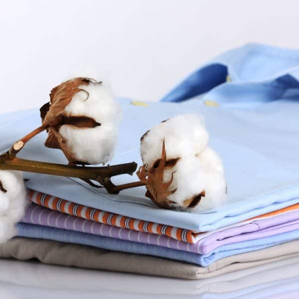fresh-cotton-parfuemoel