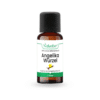 Angelikawurzel ätherisches Öl Angelica Root Oil Angelica archangelica