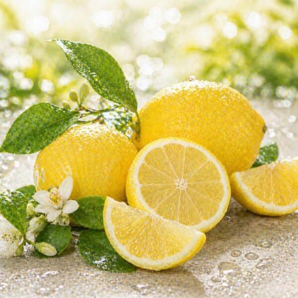 Parfümöl Bitter Lemon – Frischer, spritziger Zitrusduft