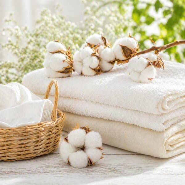 Parfümöl Clean Cotton