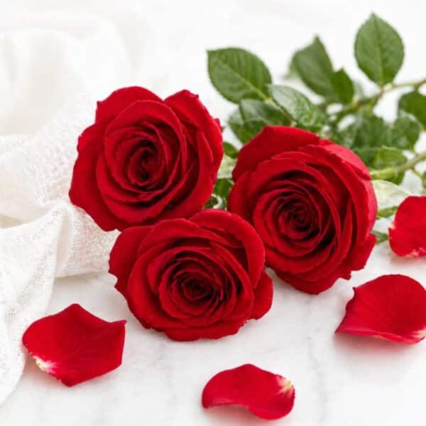 Parfümöl Rote Rosen