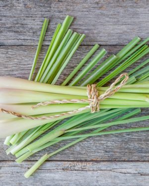 parfümöl zitronengras